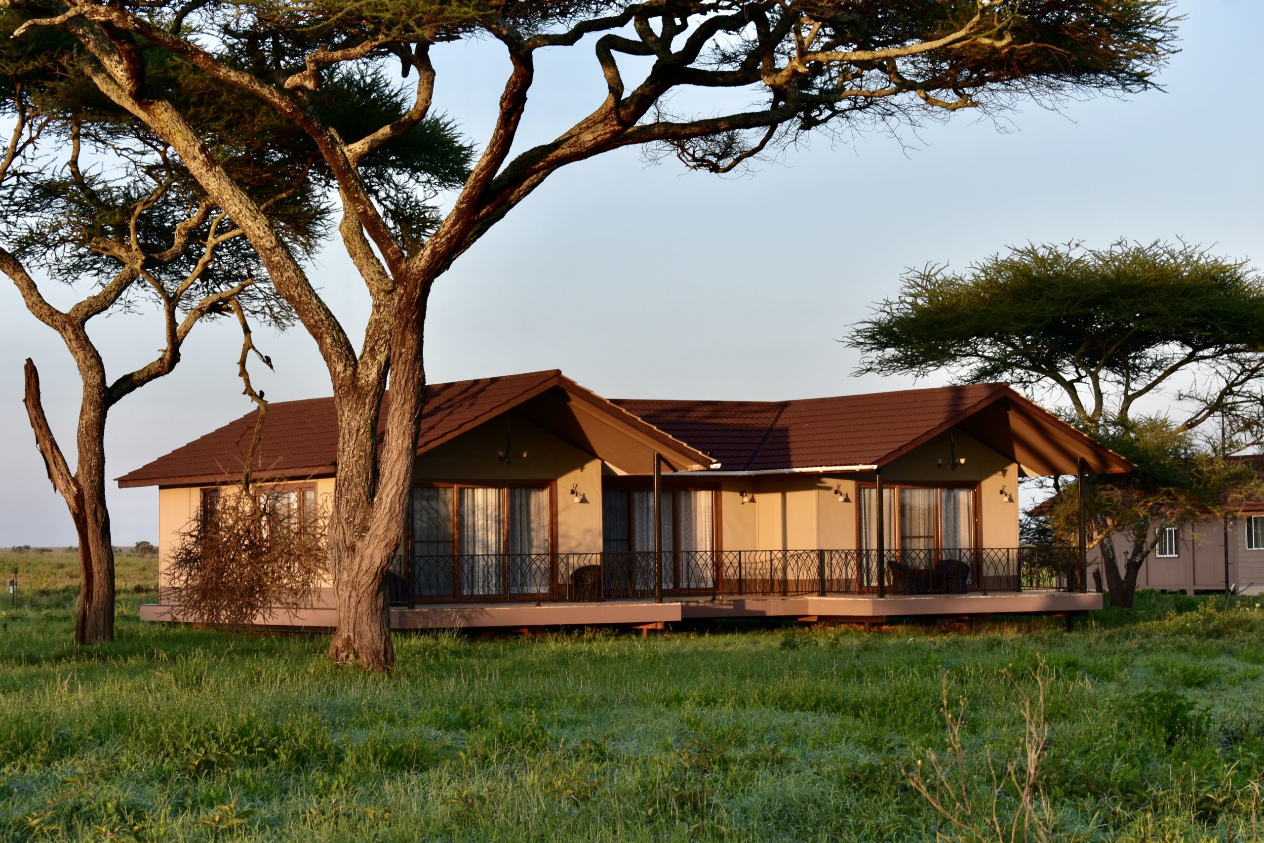 Days Serengeti And Ngorongoro Safari Amazing Serengeti Safaris